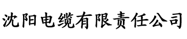 中文字字幕在线中文乱码不电缆厂logo